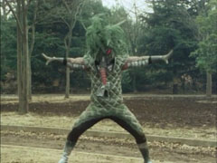 Fern Monger