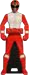 Ryu Ranger